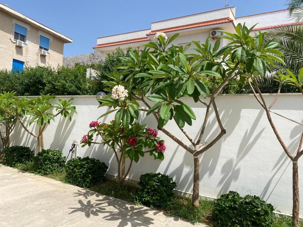 איסולה דלה פמינה Villa Delle Pomelie מראה חיצוני תמונה